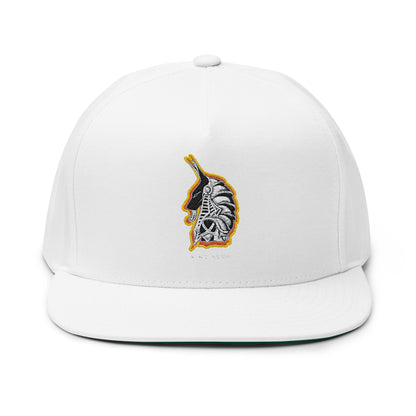 Stylish Embroidered Flat Bill Cap for Trendsetters, Adjustable Hat, Streetwear Cap, Casual Headwear, Gift for Fashion Lovers